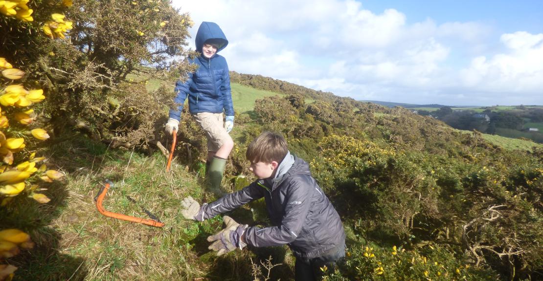 National Trust Bash and Burn Mortehoe