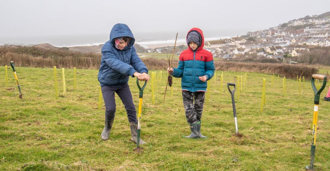 National Trust Tree Planting 