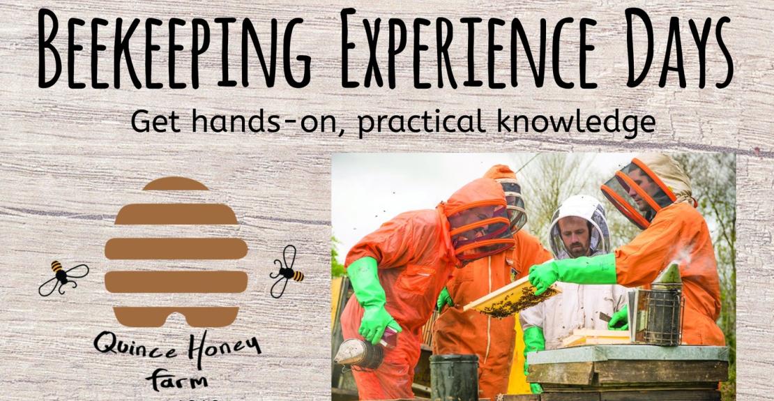 Bee Keeping Experience Days at Quince Honey Farm North Devon 