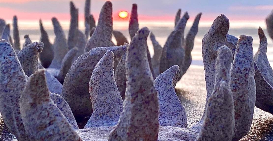 Vessels of Life Woolacombe North Devon Hospice 