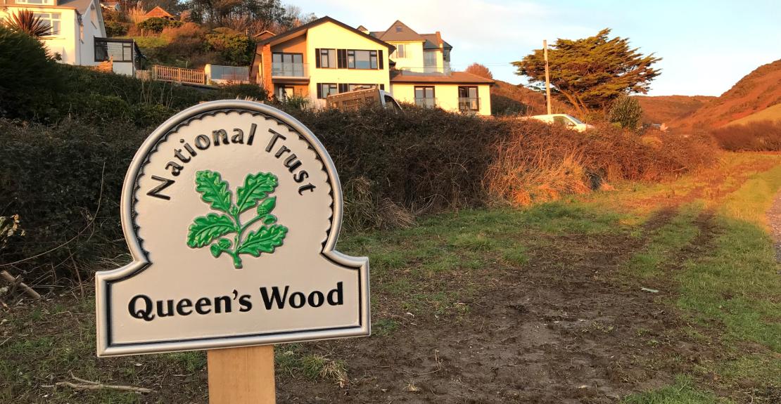 Queen's Wood Woolacombe National Trust Tree Planting Day