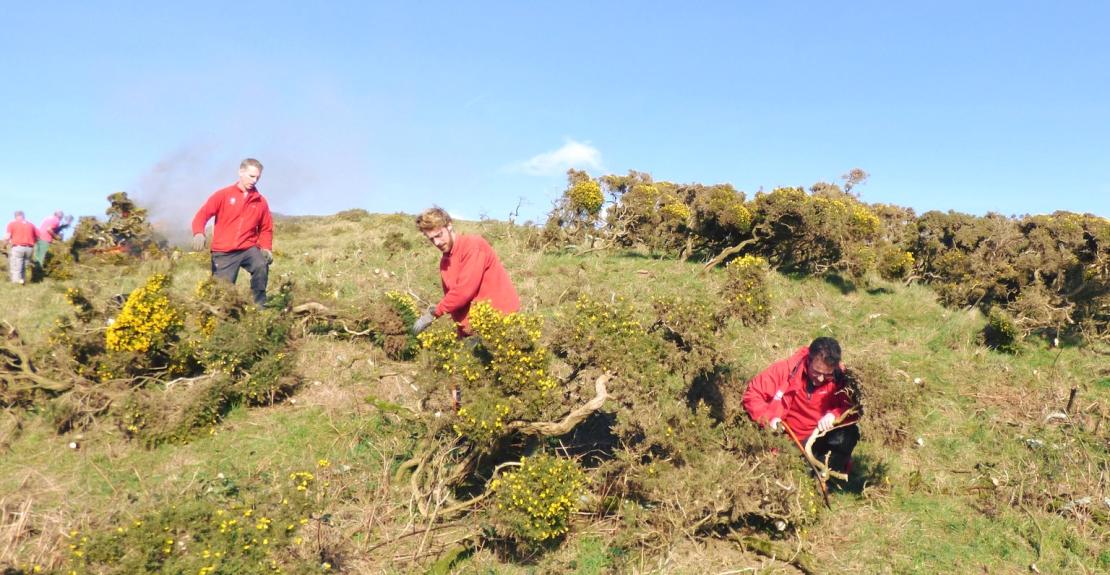 Bash and Burn Woolacombe National Trust Family Volunteering 