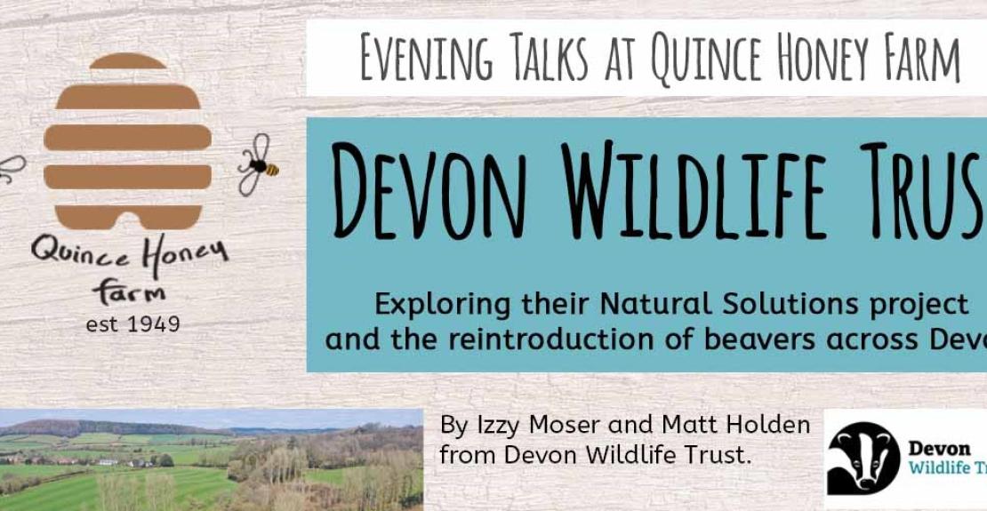 Quince Honey Farm South Molton Evening Talks Devon Wildlife Trust 