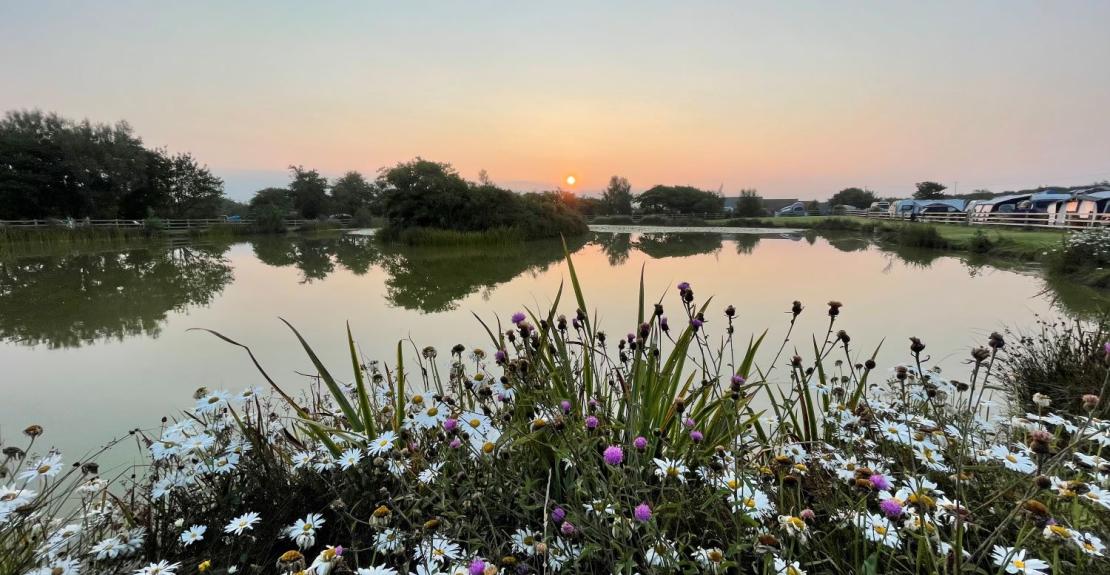 Warcombe Farm Camping Park Mortehoe Woolacombe North Devon 