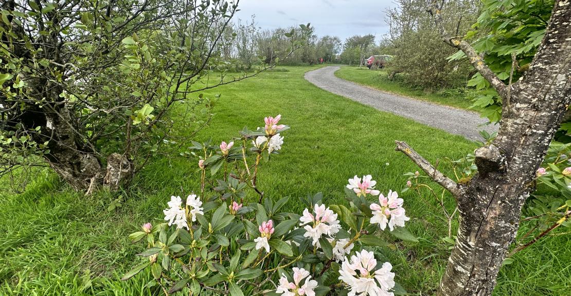 Warcombe Farm Camping Park Mortehoe Woolacombe North Devon 