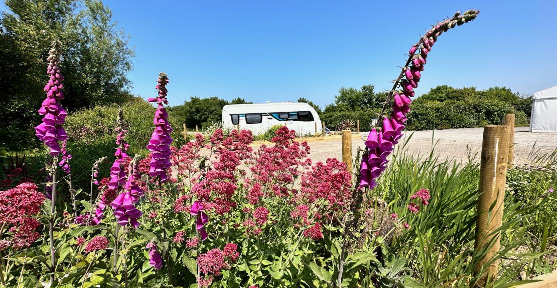 Warcombe Farm Camping Park Mortehoe Woolacombe North Devon 