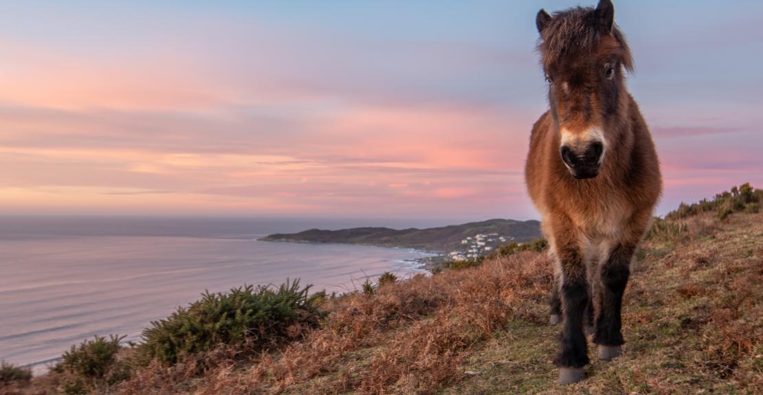 Mark Johnson Sunset Photography Walk Woolacombe 