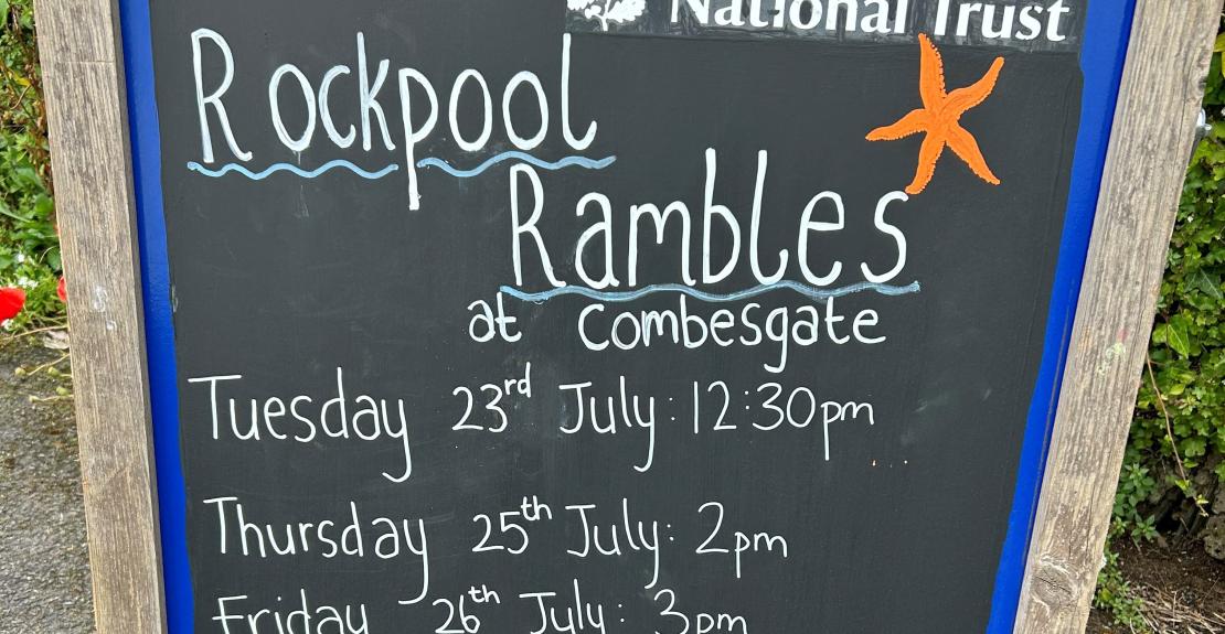 National Trust Rockpool Rambles Combesgate Woolacombe Summer 2024