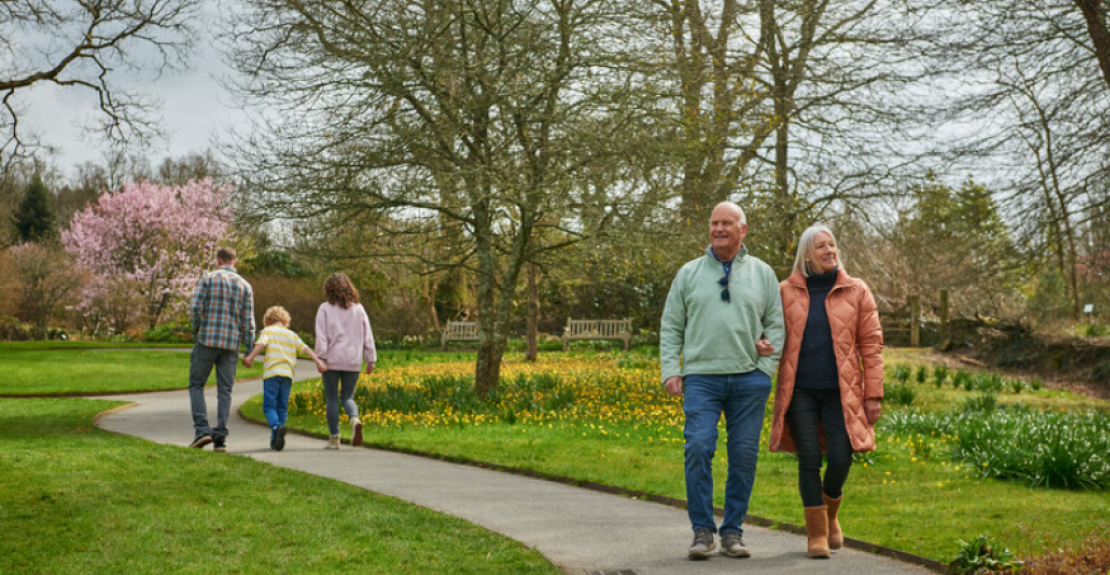 RHS Rosemoor Open Weekend March 2025 Great Torrington North Devon 