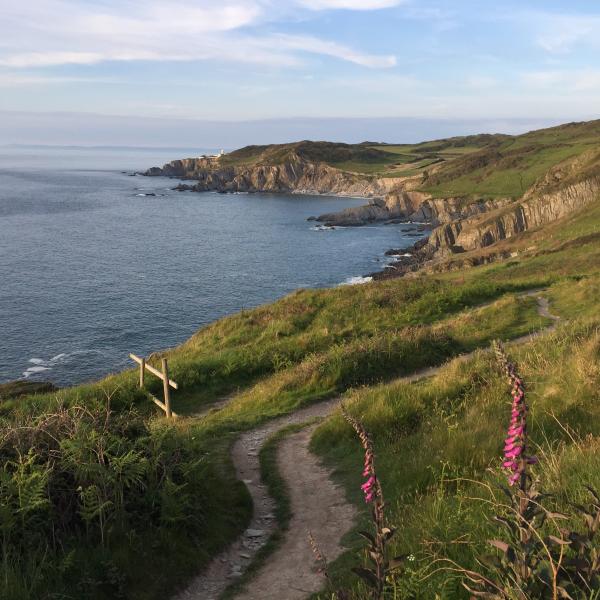 Morte Point to Rockham Bay Walk