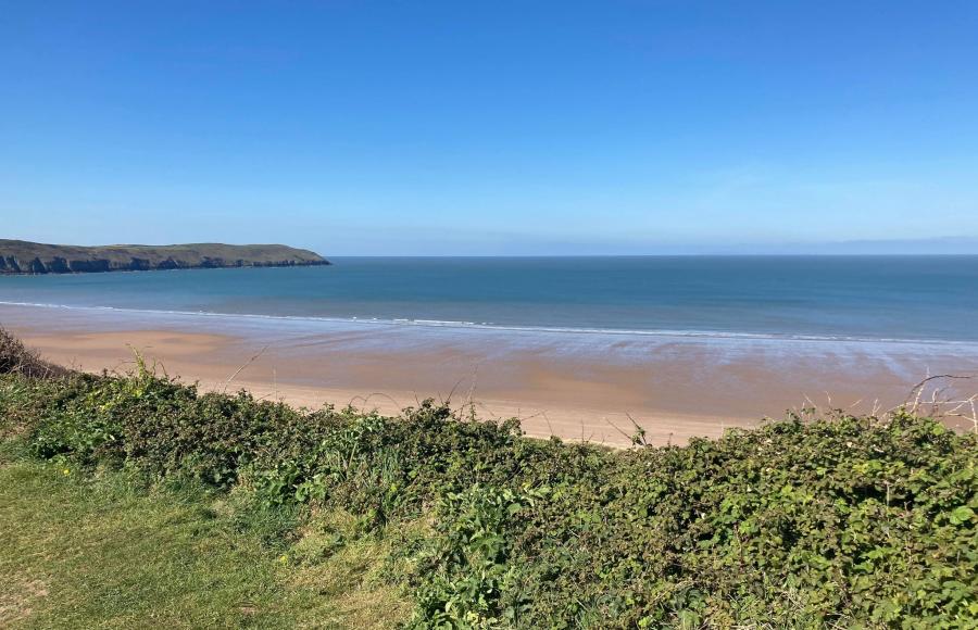 National Trust Sand Dunes Activity Day August 2021