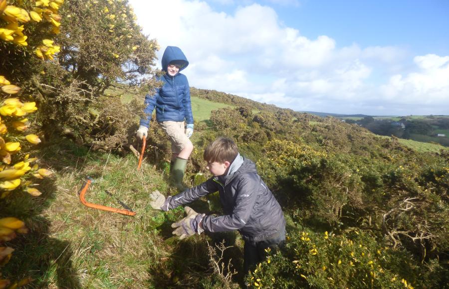 National Trust Bash and Burn Mortehoe