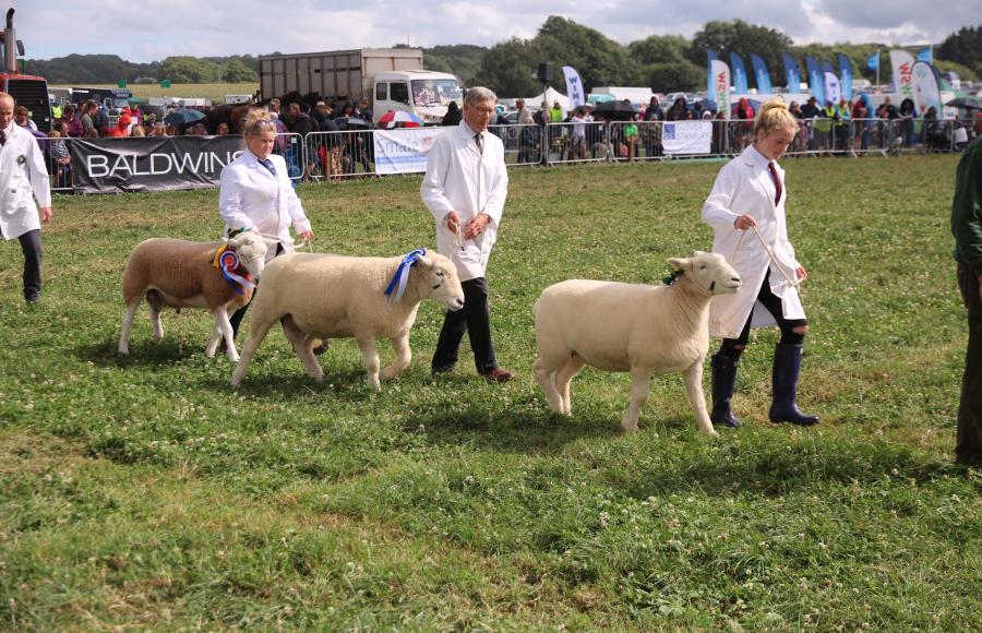 North Devon Show 2022