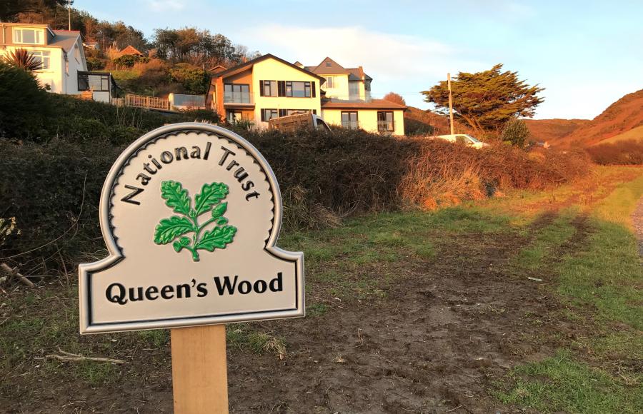 Queen's Wood Woolacombe National Trust Tree Planting Day