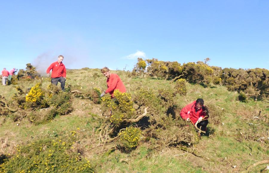 Bash and Burn Woolacombe National Trust Family Volunteering 