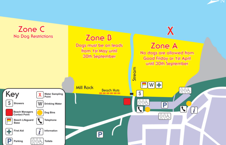 Woolacombe Beach Dog Restrictions 2023