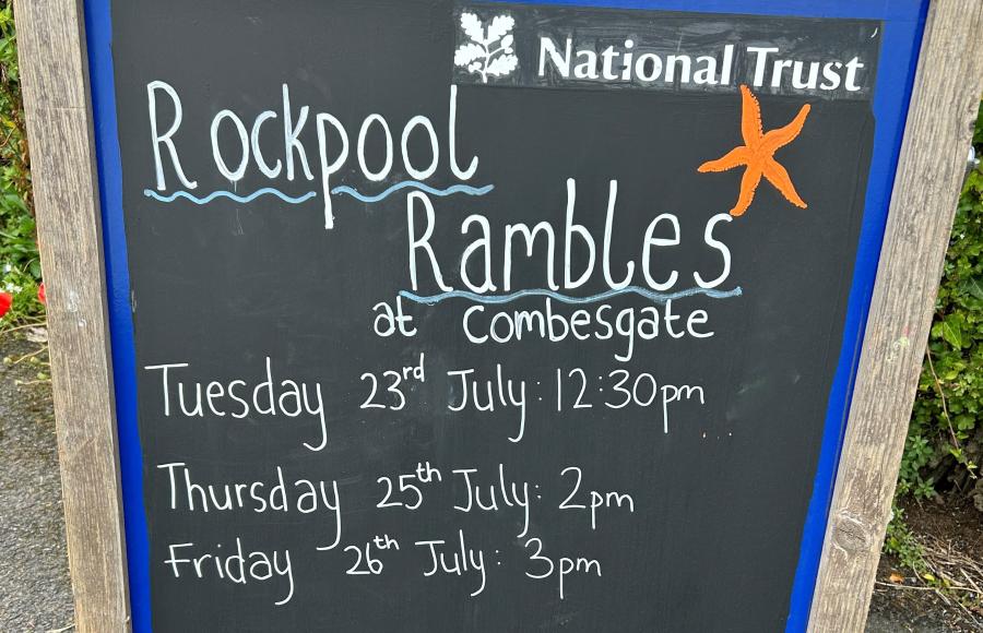 National Trust Rockpool Rambles Combesgate Woolacombe Summer 2024