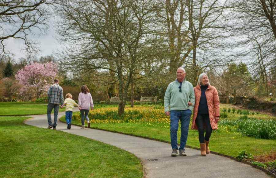 RHS Rosemoor Open Weekend March 2025 Great Torrington North Devon 